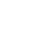 icon-vision